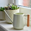 Indoor Watering Can | Pale Jade