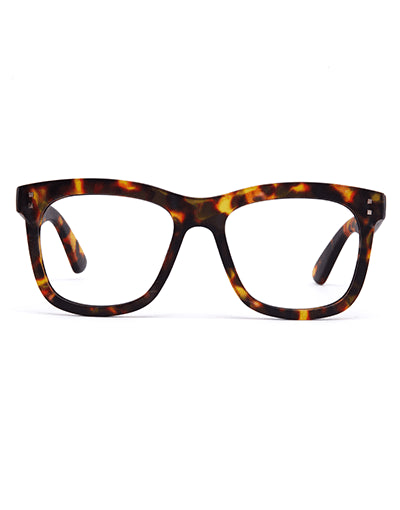 11am | Brown Tort | Reading Glasses