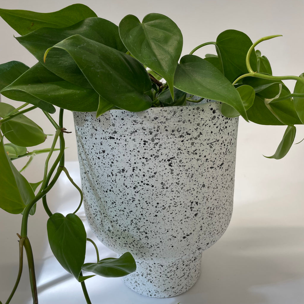 Grace Planter | Terrazzo | Large