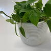 Shelby Pot | White | Large