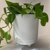 Cora Planter | White | Medium