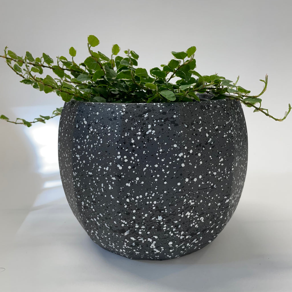 Hera Planter | Dark Grey | Small