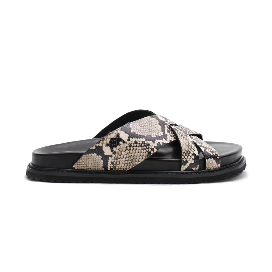 Snake best sale print slides