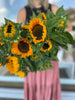 Sunflowers | Valentines 2025