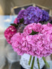 Hydrangeas | Valentines 2025