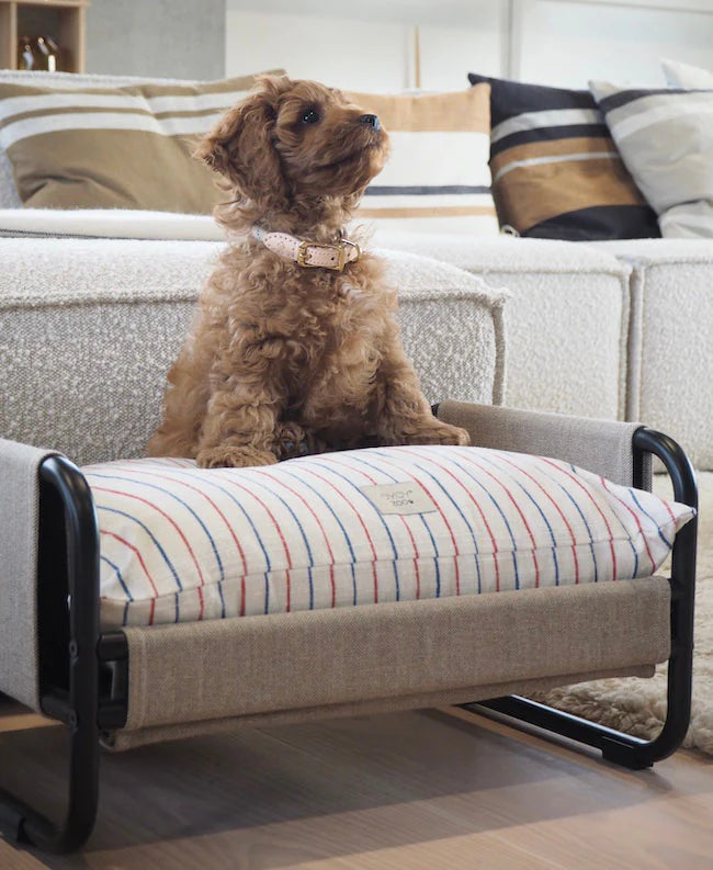 Milo Dog Bed | Medium