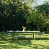 Paloma Extendable Outdoor Dining Table | Stone