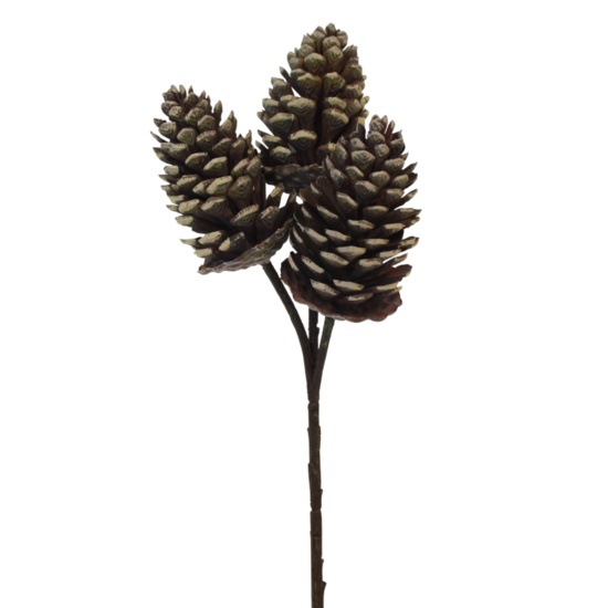 Pinecone Pick