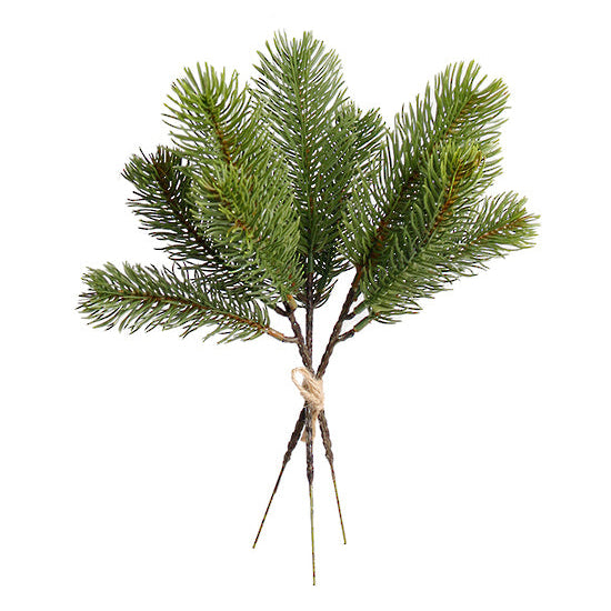 Pine Bundle