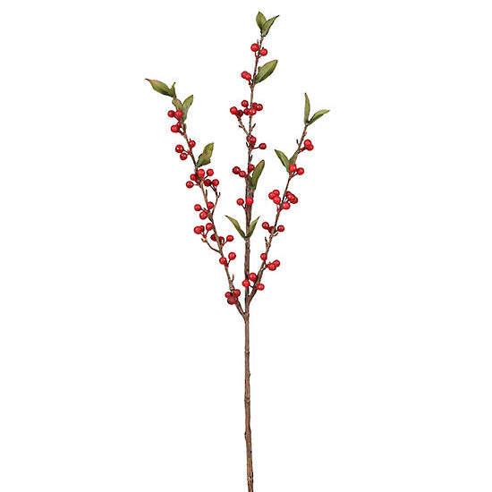 Cranberry Spray | Red