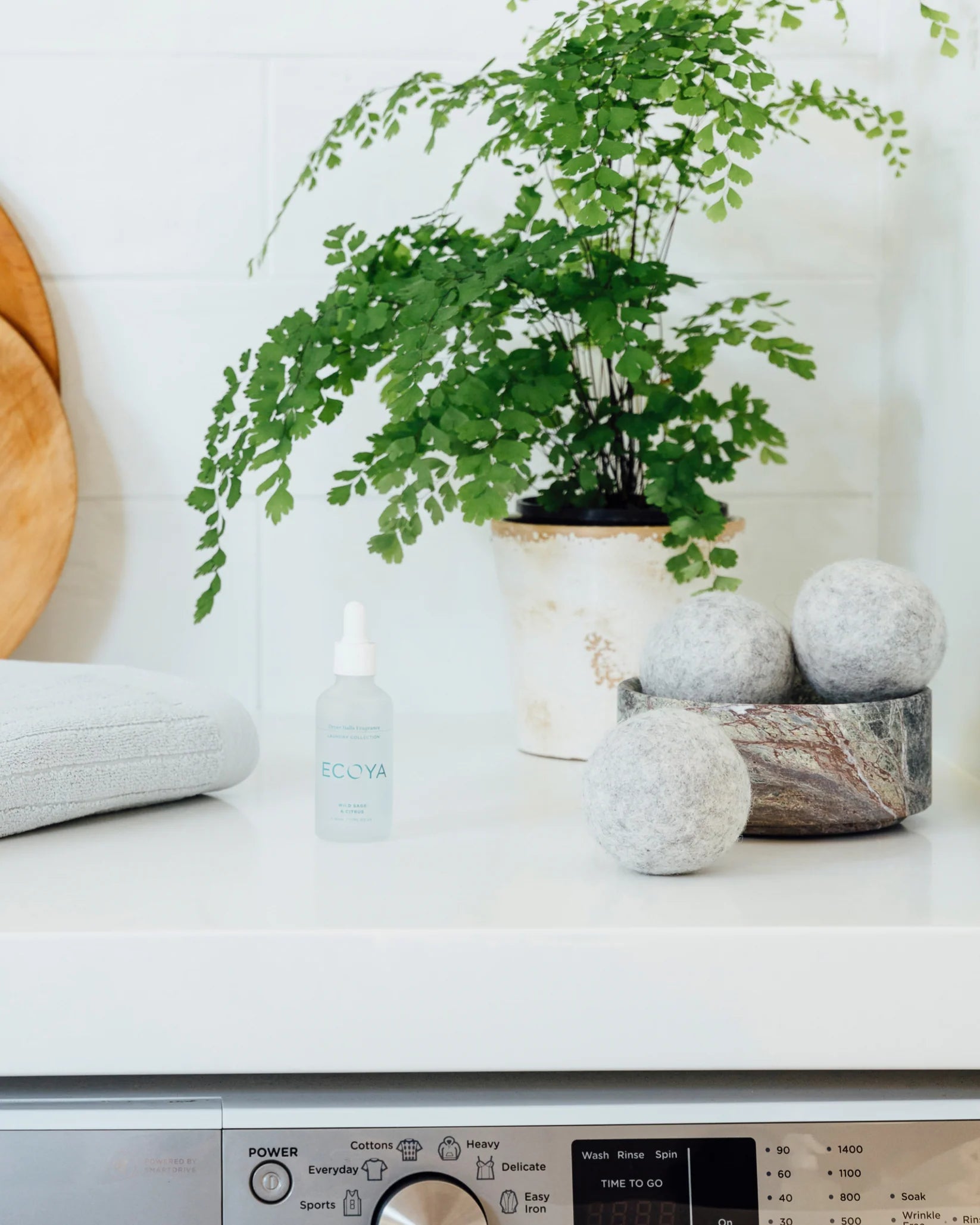 Laundry Dryer Ball Set | Wild Sage & Citrus