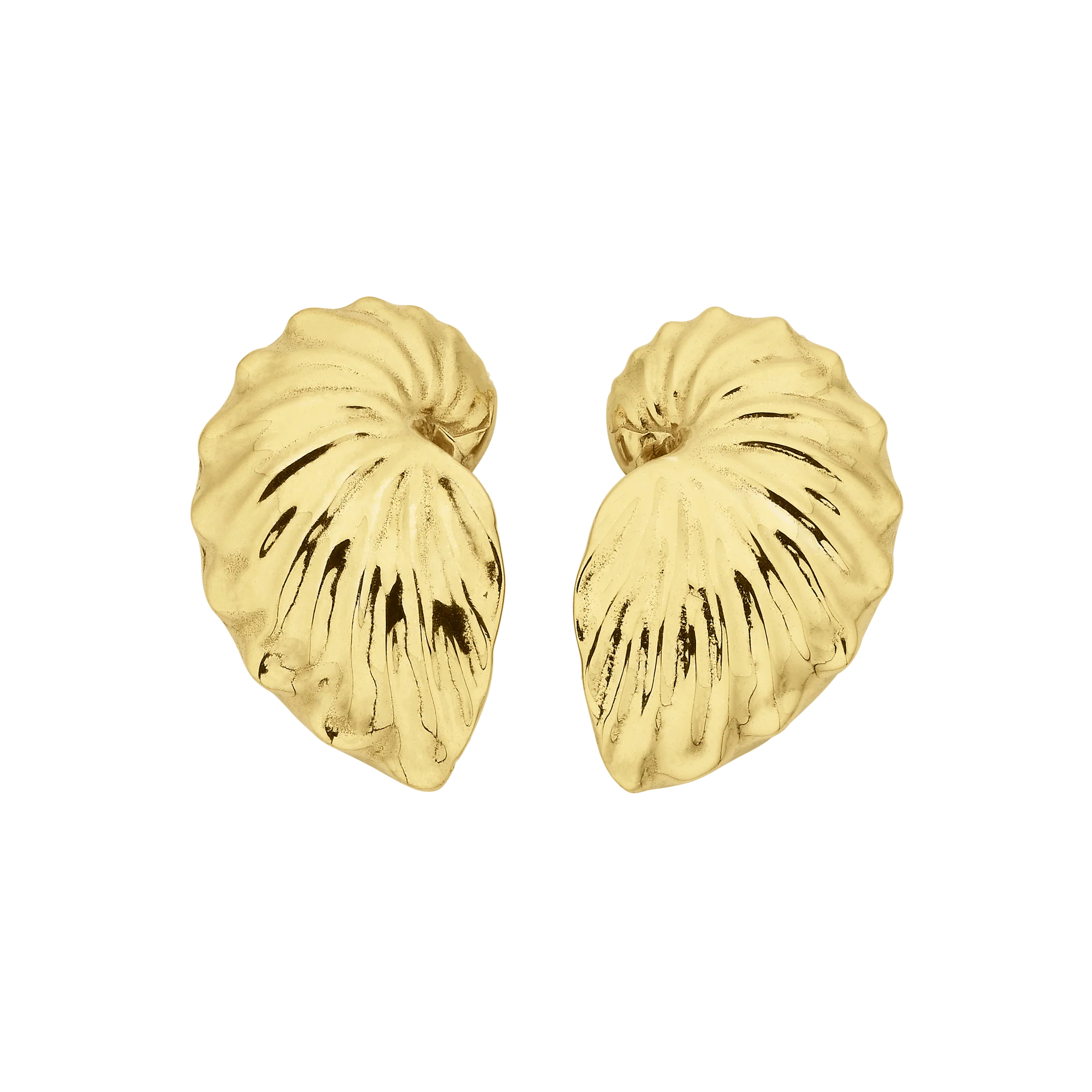 Paper Nautilus Earrings | 22k Gold Vermeil