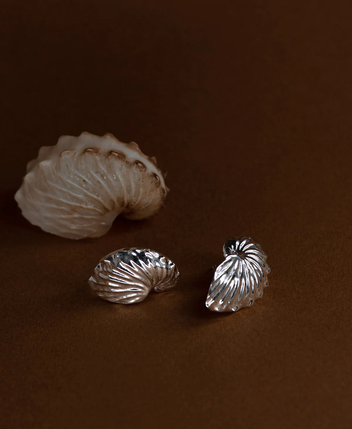 Paper Nautilus Earrings | Sterling Silver