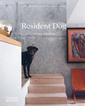 Resident Dog
