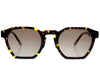 Management Sunglasses | Brown Tort