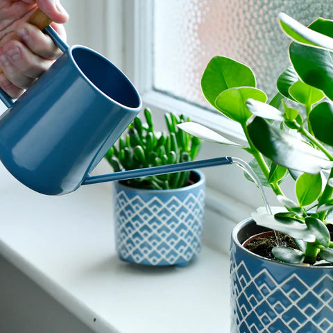 Indoor Watering Can | Heritage Blue