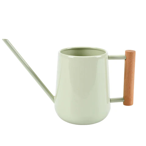 Indoor Watering Can | Pale Jade