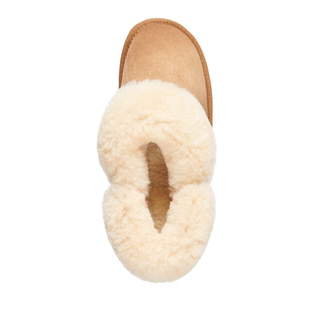 Platinum Mintaro Slipper | Chestnut
