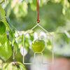 Apple Bird Feeder | House